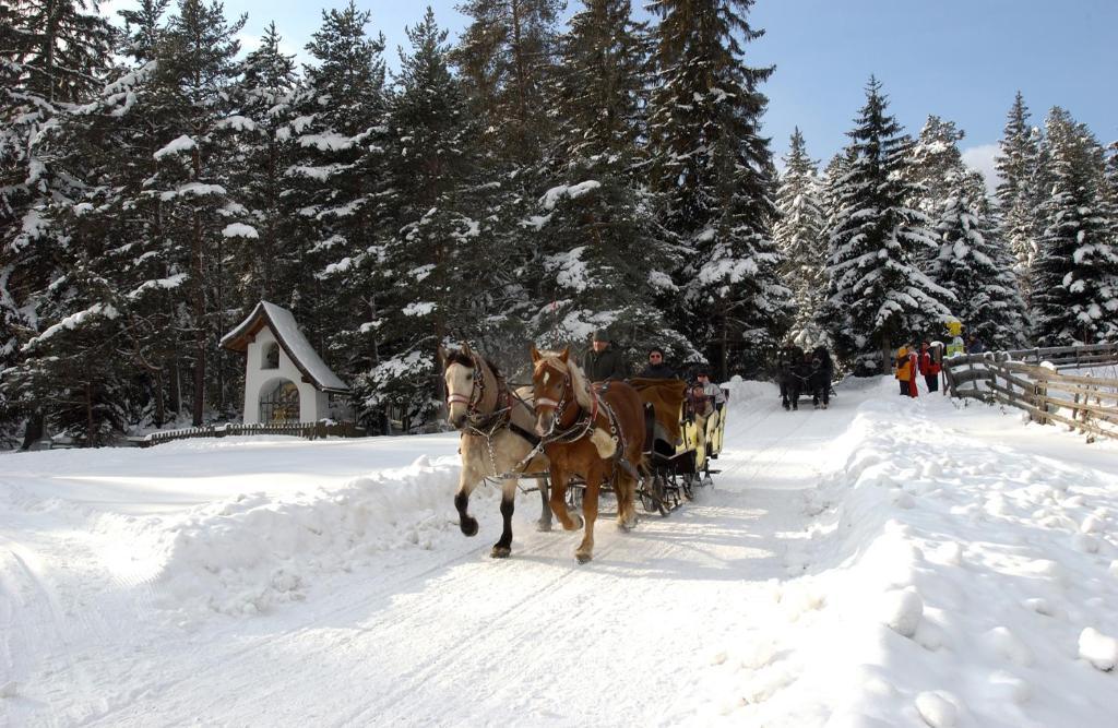 Krosbacher Hof Seefeld in Tirol Eksteriør bilde